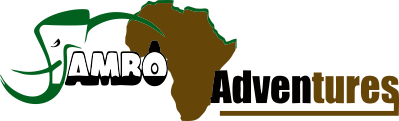 Jambo Africa Adventures